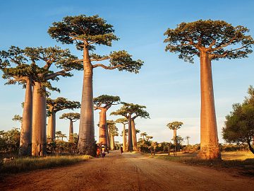 Zdjęcie kierunku: Antananarywa